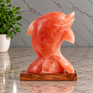 Dolphin Shape - Image 1